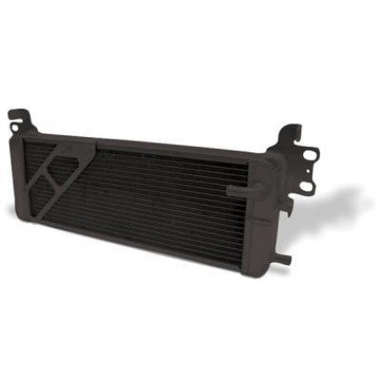 AFCO Pro-Series Dual Pass Heat Exchanger (Black Thermal Coat)